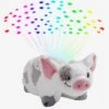 Disney Moana Pua Sleeptime Lites Pillow Pets Plush Toy -Cozy Comfort Shop 13217866 hi